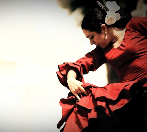 Flamenco 3