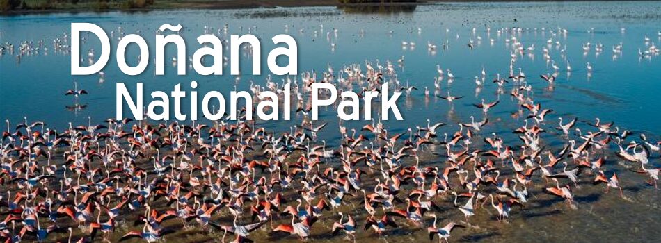 Doñana National Park