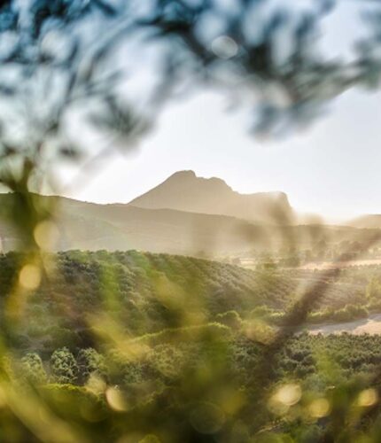 Visita Antequera y almazara desde Málaga