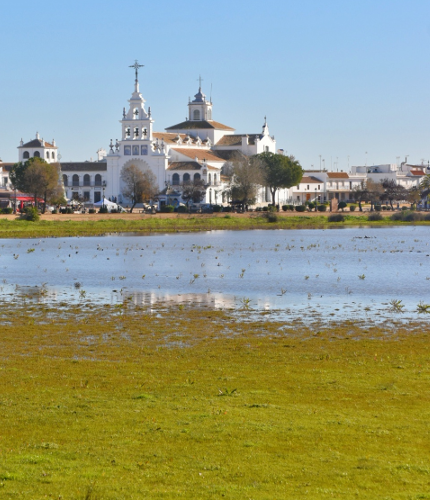 Experiencia Doñana