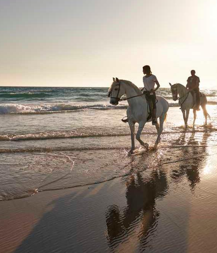 Andalucía a caballo