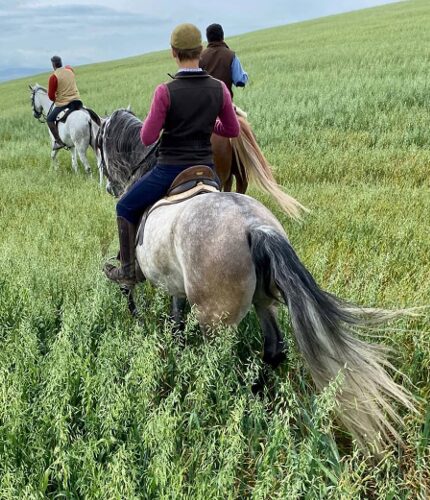 Ruta de tapas a caballo en Jerez