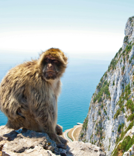 Tour a Gibraltar desde Málaga